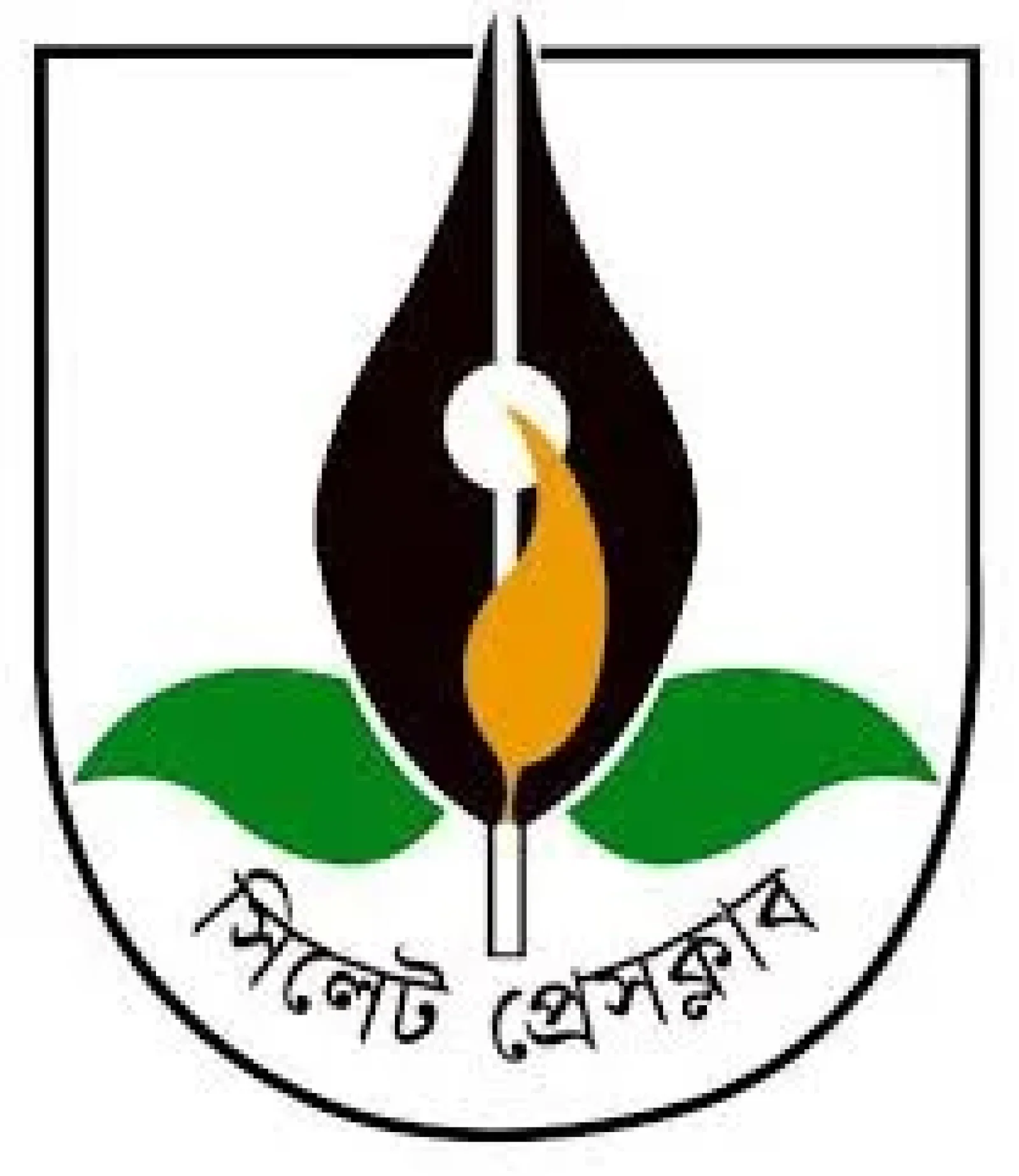 না ফেরার দেশে চলে গেলেন সাংবাদিক মামুন পারভেজের রত্নগর্ভা মা