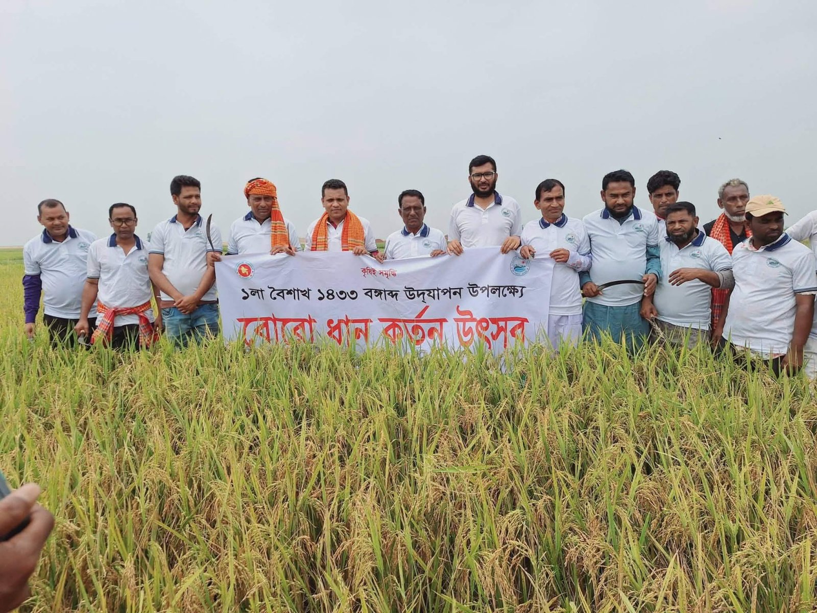 হাওরে ধান কাটা আর নববর্ষে শাল্লায় উৎসবের আমেজ