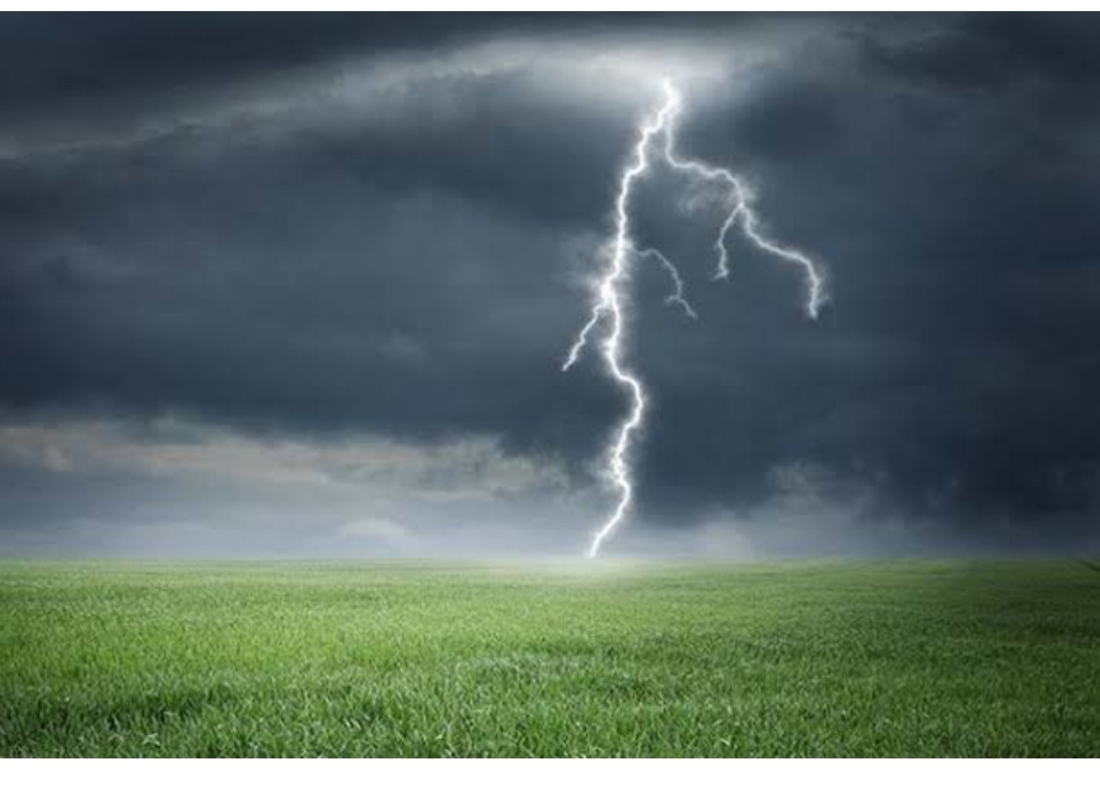 দিরাইয়ের হাওরে ধান কাটতে গিয়ে বজ্রপাতে কৃষকের মৃত্যু