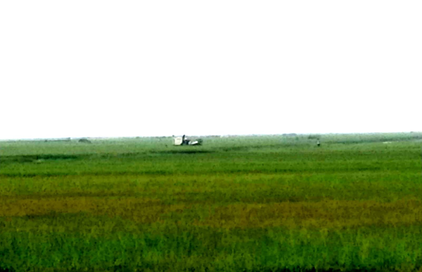 জগন্নাথপুরে কৃষকের চোখে পানি: বৃষ্টি-জলাবদ্ধতায় ধান ডুবছে, বাড়ছে কাটার খরচ—বাজারে নেই ন্যায্য দাম