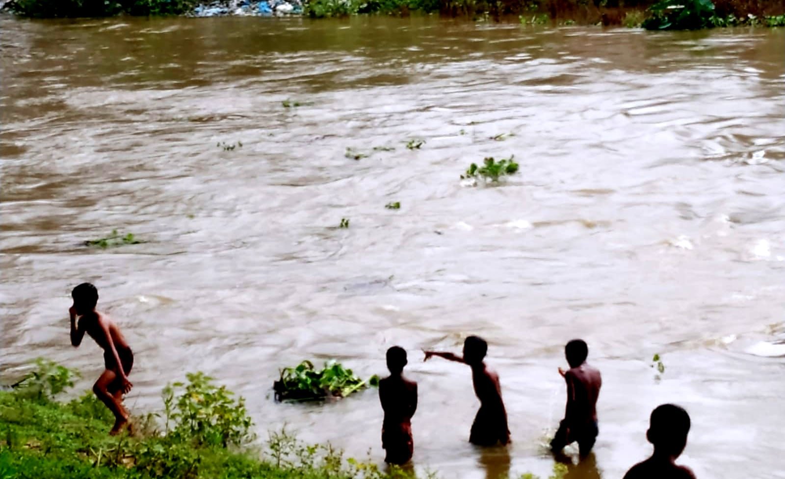 জগন্নাথপুরে নদীতে পানি বৃদ্ধি, আগাম বন্যার শঙ্কায় দ্রুত ধান কাটার তাগিদ