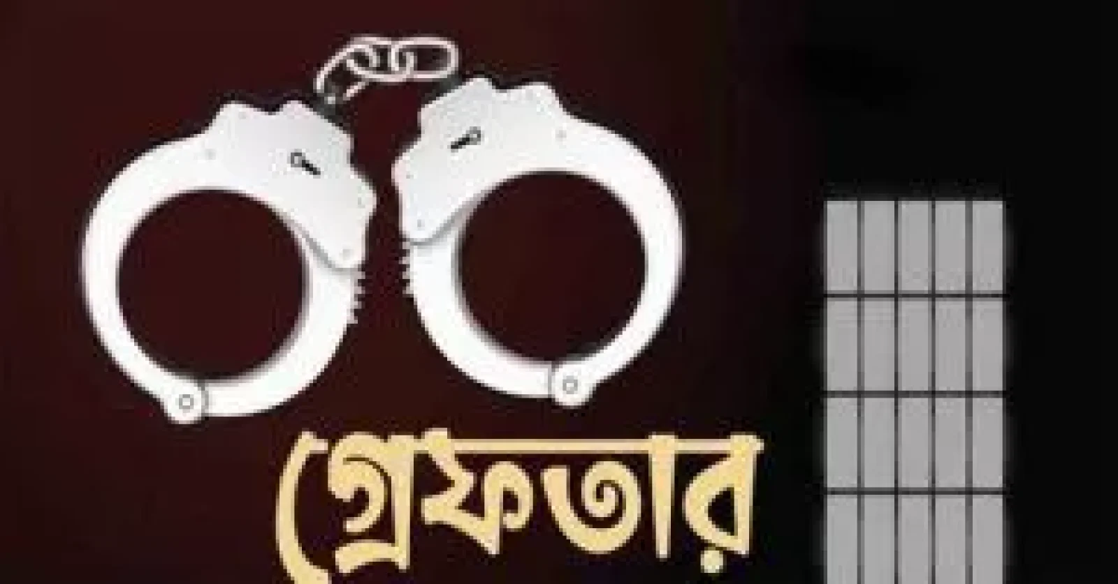 সিলেটে ২৪ ঘণ্টার অভিযানে ৬৫ গ্রেফতার, ট্রাফিকে ১১৯ যানবাহনের বিরুদ্ধে ব্যবস্থা