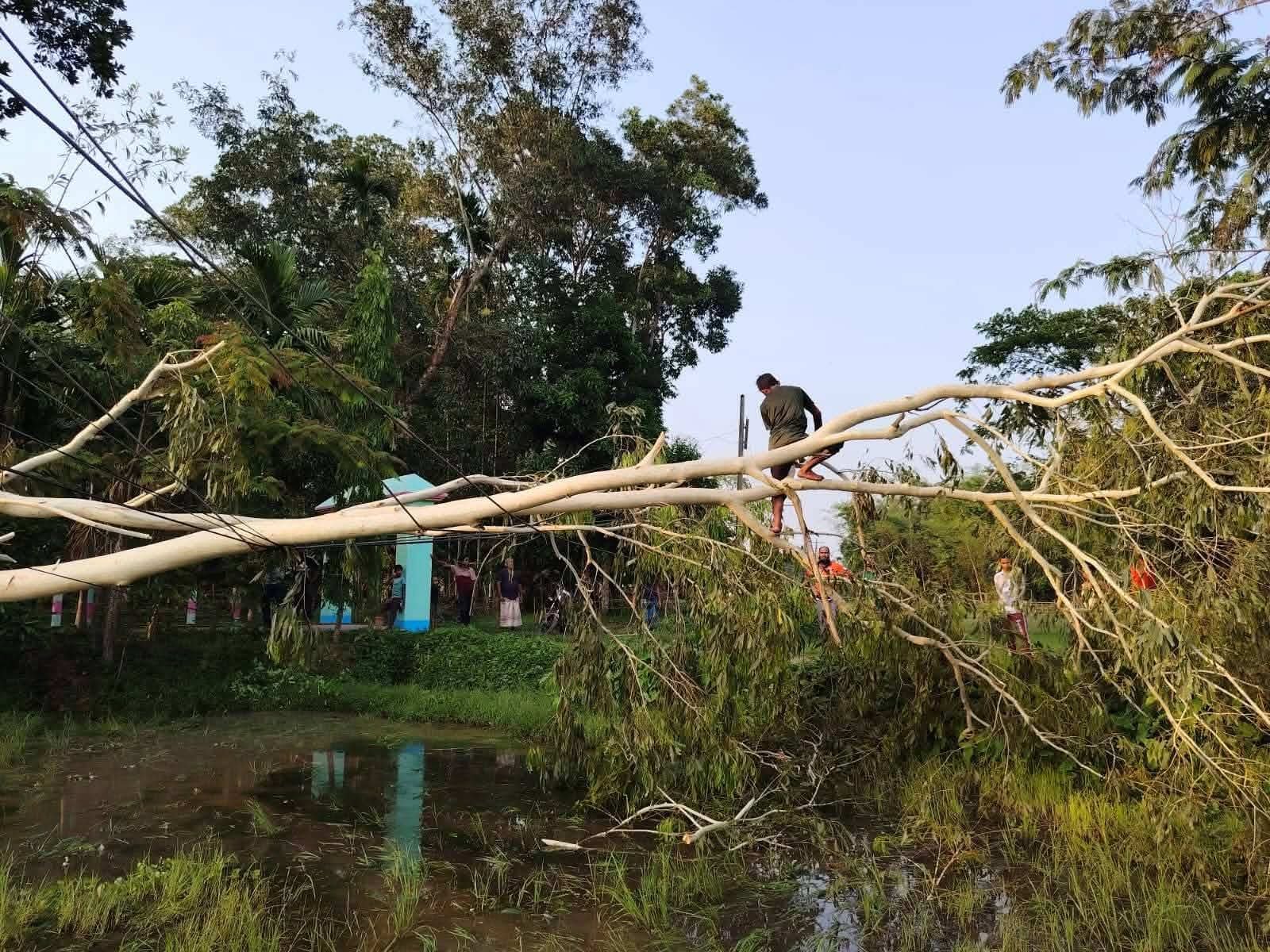 কালবৈশাখীর তাণ্ডবে ওসমানীনগরে ৩২ ঘণ্টা বিদ্যুৎহীন, চরম দুর্ভোগে জনজীবন