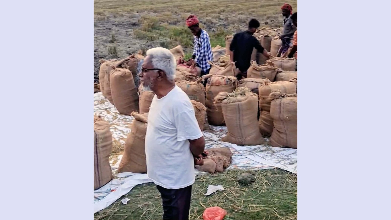 ধর্মপাশায় ১৪৪ ধারা ভেঙে ধান কাটার অভিযোগ, দিশেহারা বন্দোবস্ত পাওয়া কৃষক পরিবার