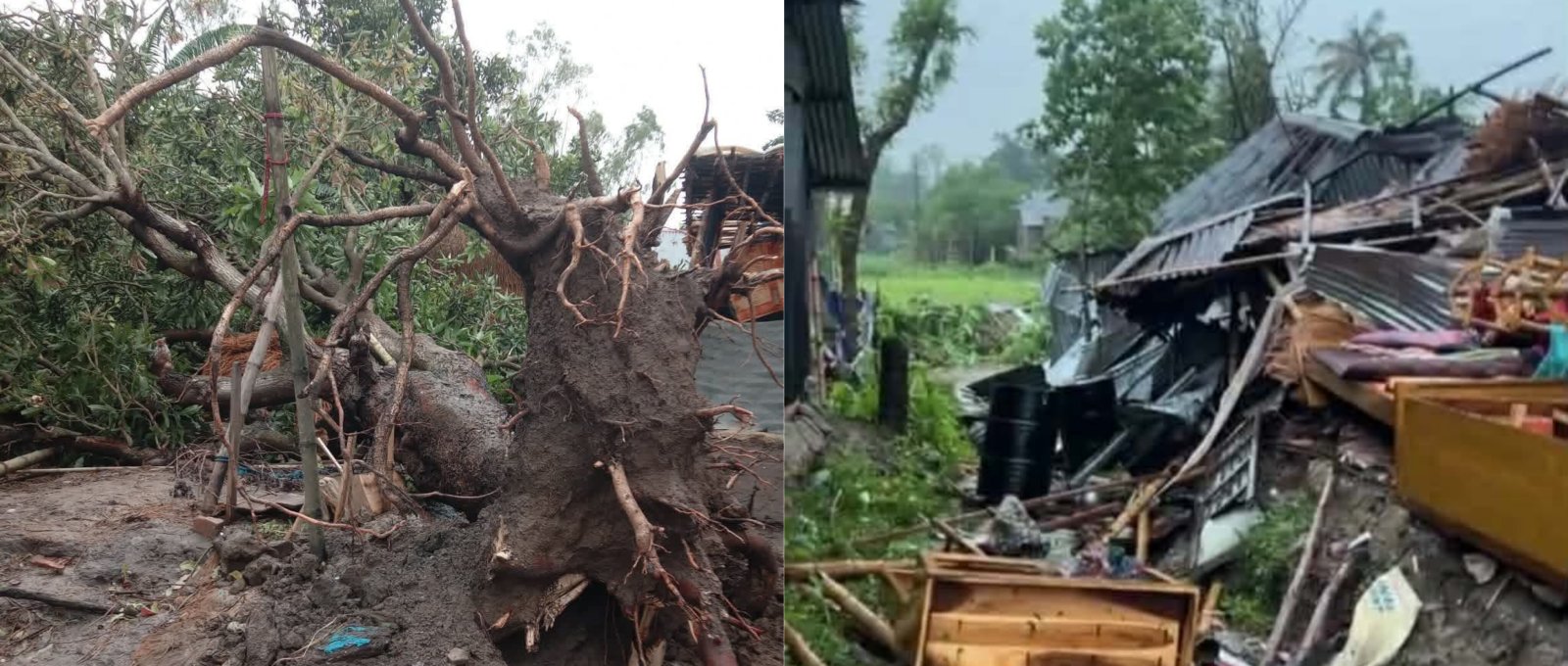 লাখাইয়ে কালবৈশাখীর তাণ্ডব: অর্ধশতাধিক ঘরবাড়ি বিধ্বস্ত, বিদ্যুৎ ব্যবস্থা বিপর্যস্ত