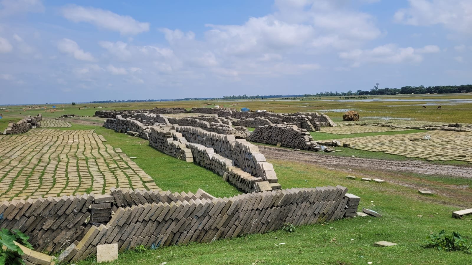 শান্তিগঞ্জে ঠিকাদারি প্রতিষ্ঠানের সাইট থেকে সিসি ব্লক চুরি, অভিযোগ এক ব্যক্তির বিরুদ্ধে