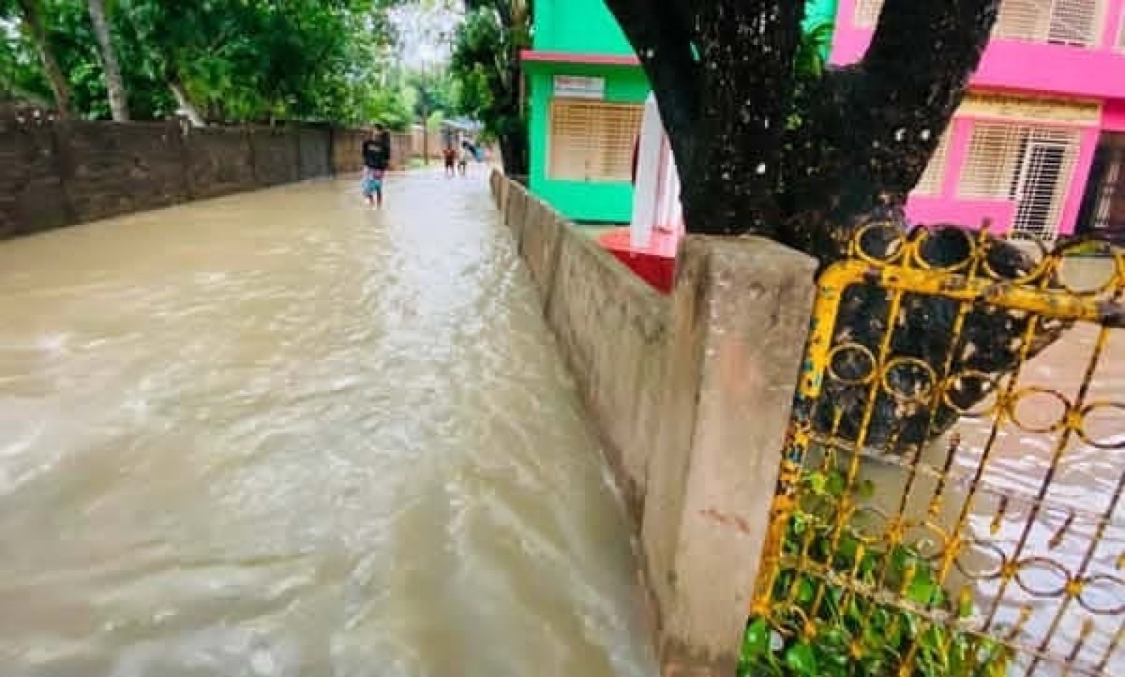টানা বৃষ্টিতে প্লাবিত শ্রীমঙ্গলের শতাধিক গ্রাম, জনজীবনে চরম দুর্ভোগ