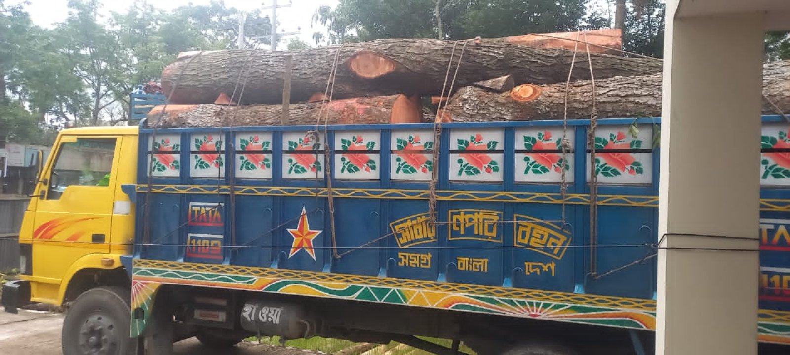 মাধবপুরে মহাসড়কে ২৫০ মেহগনি বল্লীসহ ট্রাক জব্দ, বন বিভাগের অভিযানে চালক আটক