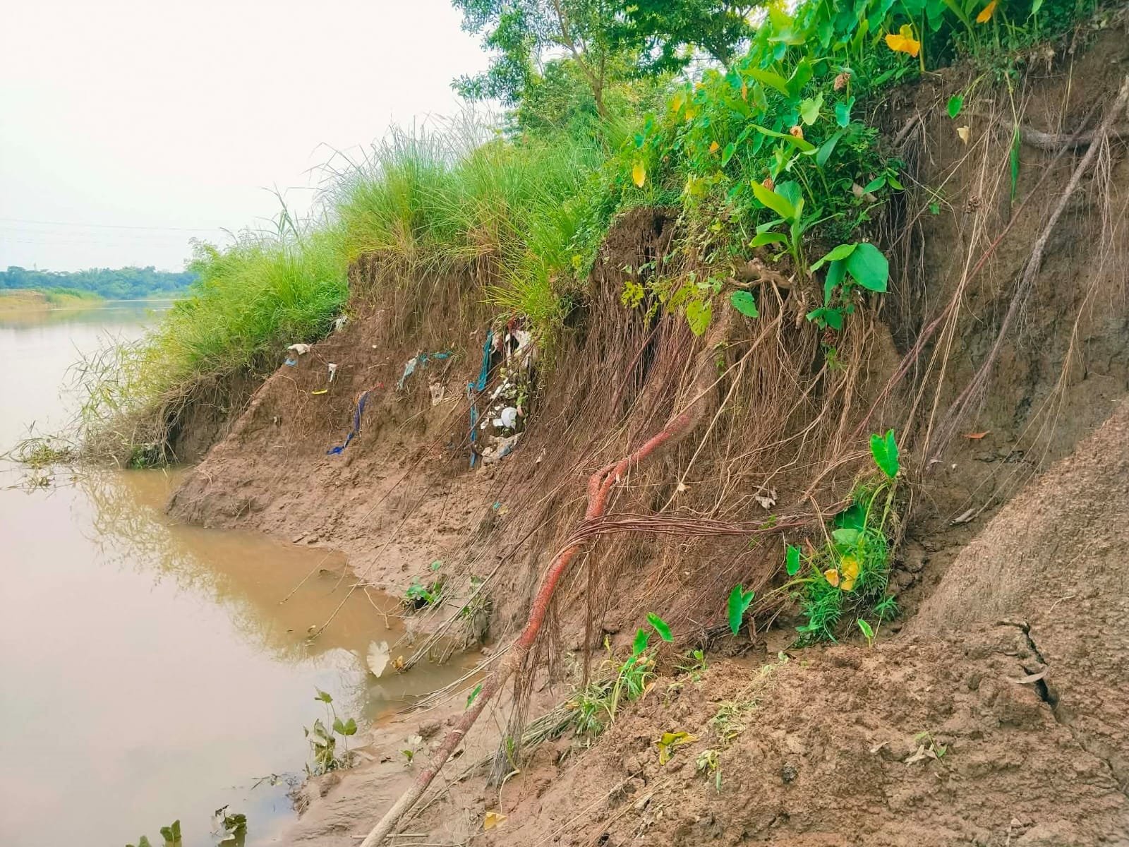 গোলাপগঞ্জে নদীভাঙনে শিংপুর ডাইক ক্ষতিগ্রস্ত, উদ্বেগ স্থানীয়দের