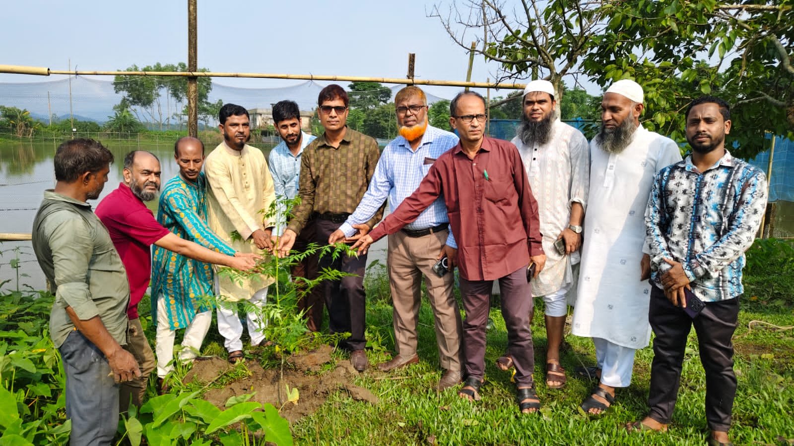 নিজপাট ইউনিয়নে ১০ হাজার বৃক্ষচারা রোপণের কর্মসূচির উদ্বোধন