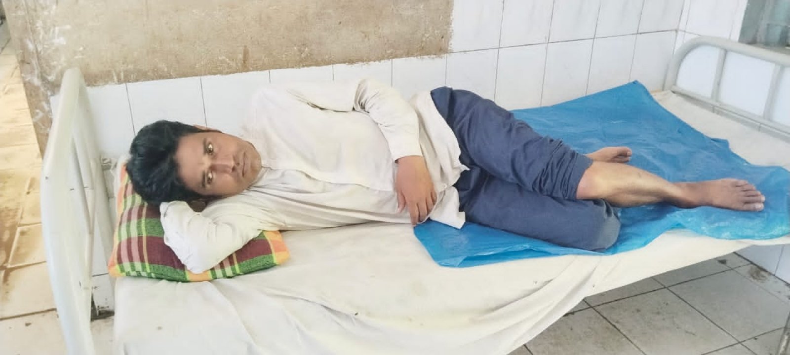 ধর্মপাশায় পাগলা শিয়ালের কামড়ে নারী-শিশুসহ ১৬ জন আহত