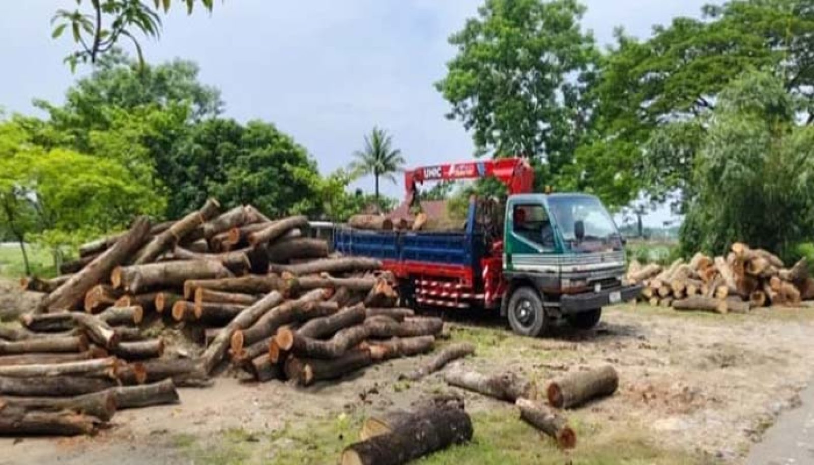 ছাতক-গোবিন্দগঞ্জ সড়কে ৪৩৪ গাছ কাটায় প্রশ্ন, নিলাম ও মূল্যায়নে স্বচ্ছতা চায় হাওর ও নদী রক্ষা আন্দোলন