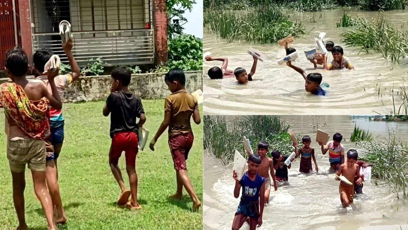 পাঁচ খাল সাঁতরে স্কুলে যায় চরকারফারমার শিশুরা