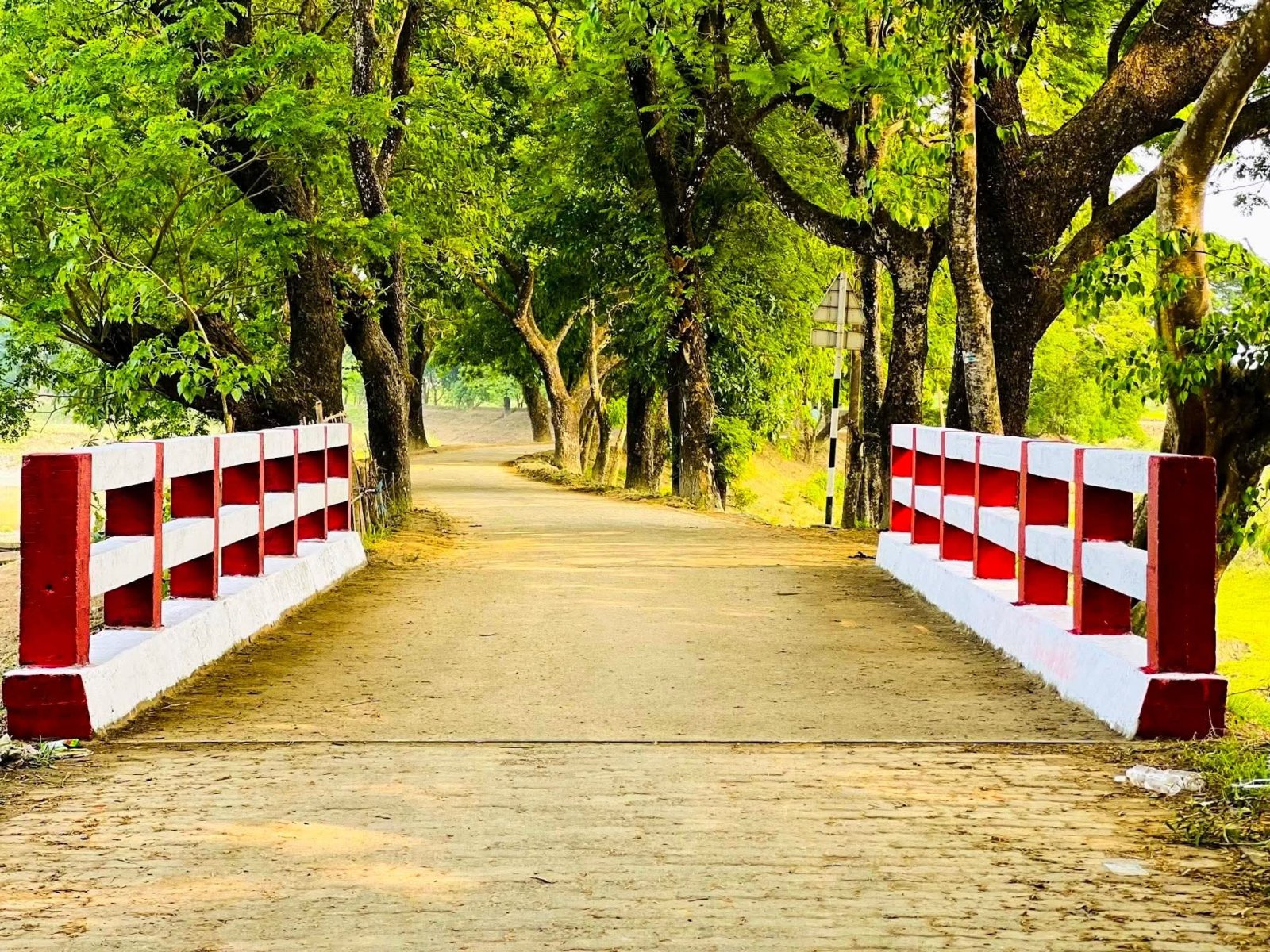চোরাকারবারিদের বেপরোয়া যান চলাচলে অতিষ্ঠ হেমু তিনপাড়া, নিরাপত্তা চেয়ে স্মারকলিপি
