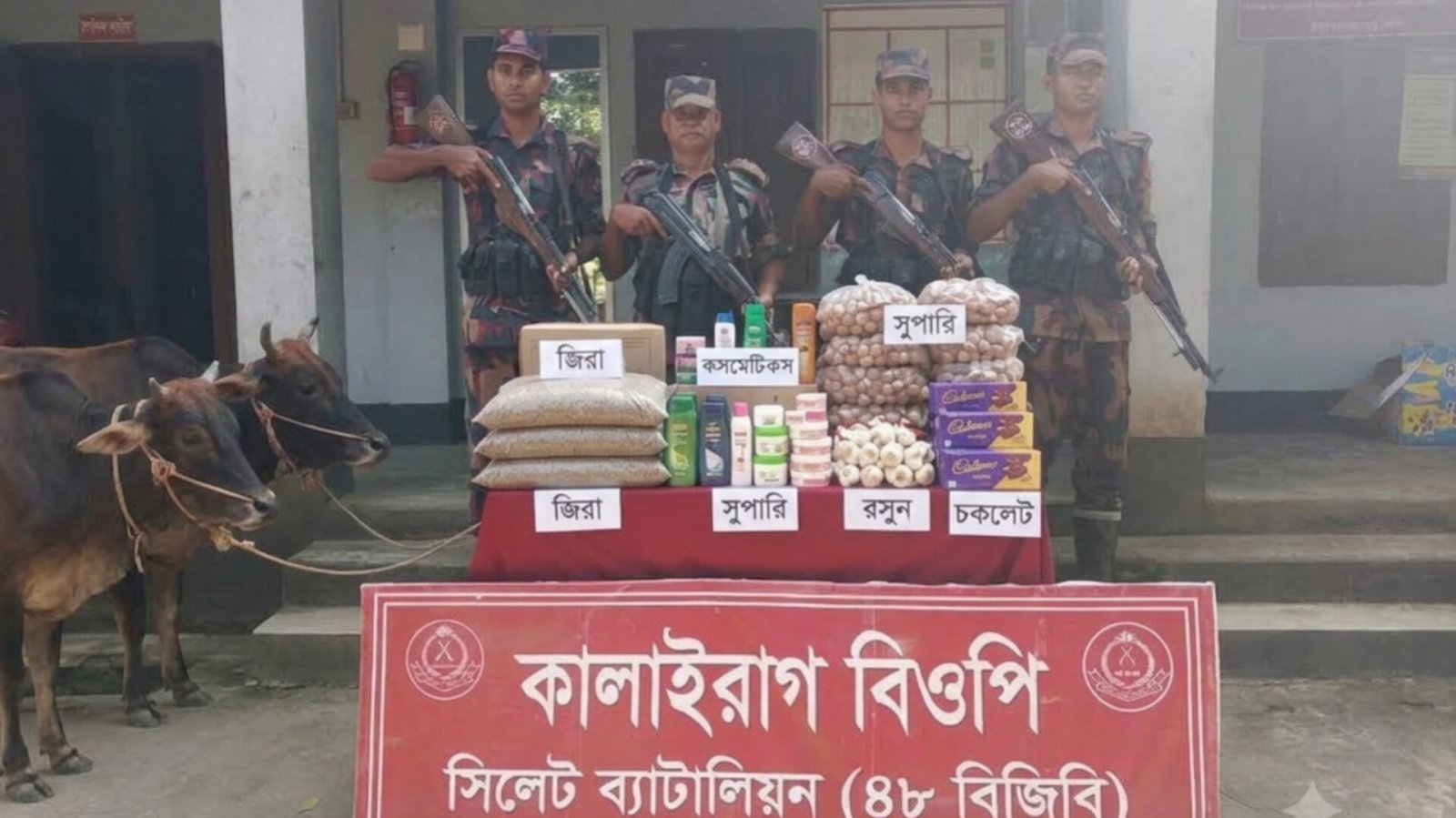 জিরা থেকে গরু, রসুন থেকে শিং মাছ—সিলেট সীমান্তে ৪৭ লাখের পণ্য আটক