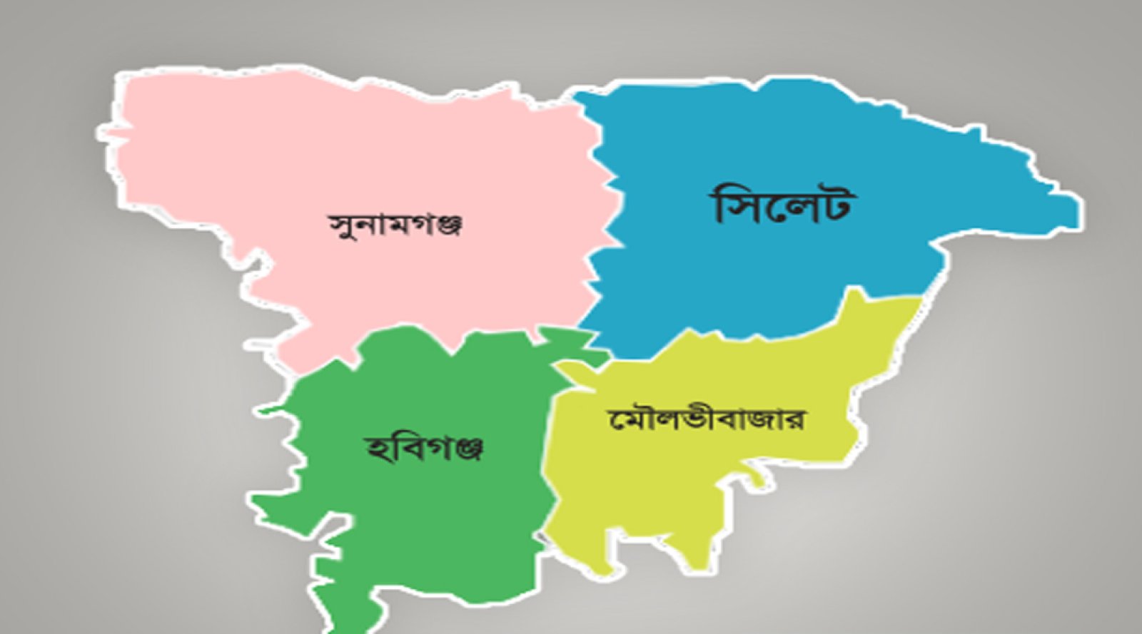 সিলেটে ডেঙ্গুতে আরও একজনের মৃত্যু, বিভাগে প্রাণহানি ৪