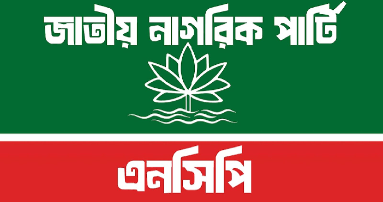 নাহিদ ইসলামকে আহ্বায়ক করে এনসিপির নতুন কেন্দ্রীয় কমিটি, গুরুত্বপূর্ণ পদে যারা