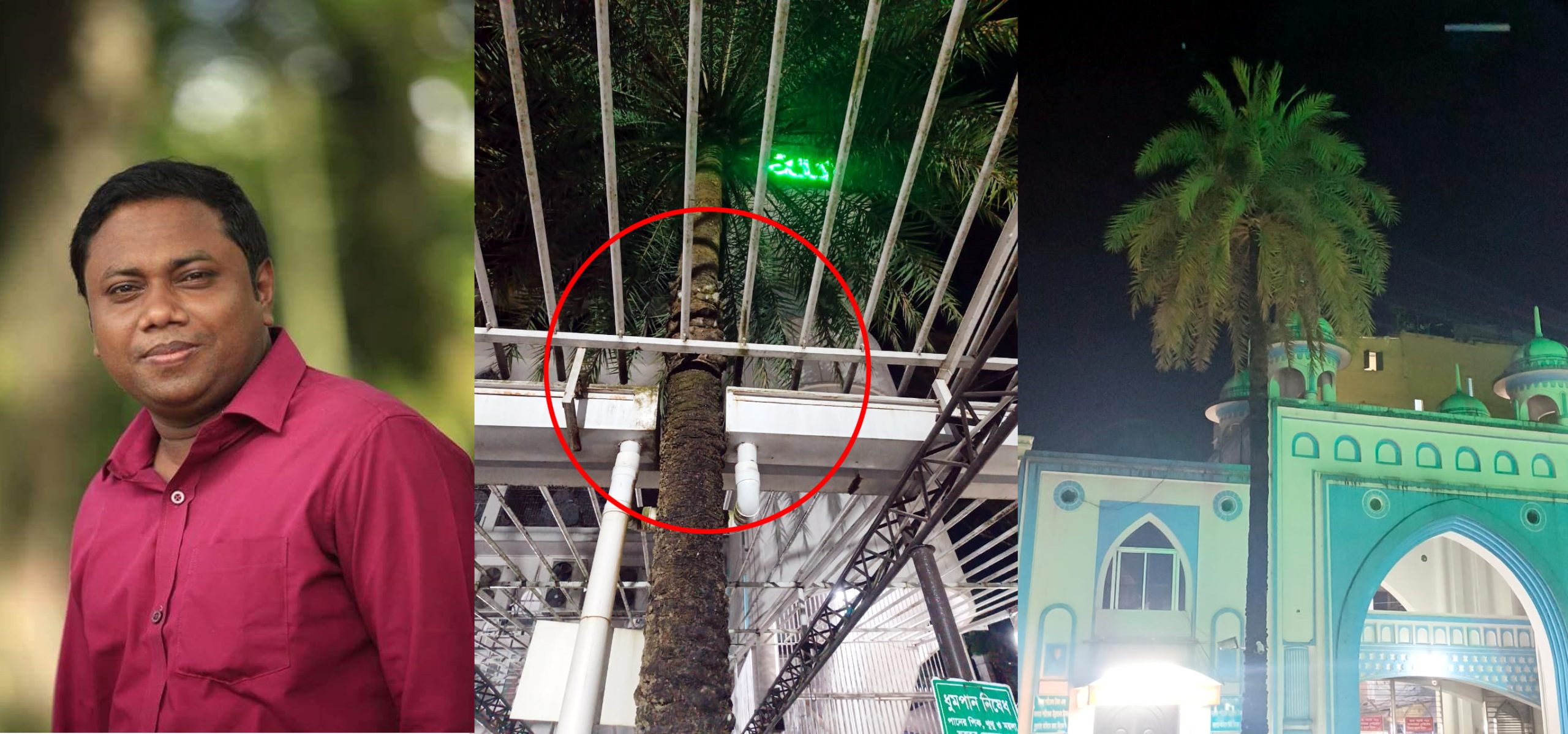 শাহজালাল (র.)-এর মাজার খেজুর গাছের ‘ময়নাতদন্ত’ ও সাংবাদিকতার নৈতিকতা: কাইয়ুম উল্লাস