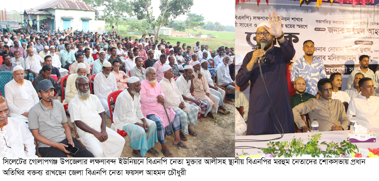 তৃণমূল নেতাকর্মীরাই বিএনপির প্রাণ: ফয়সল চৌধুরী