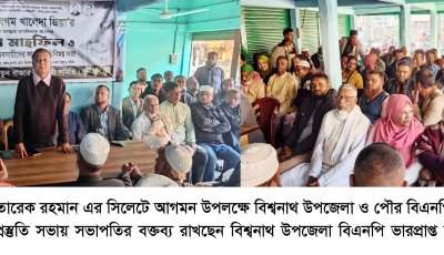 তারেক রহমানের সিলেট আগমন উপলক্ষে বিশ্বনাথ উপজেলা ও পৌর বিএনপির প্রস্তুতি সভা