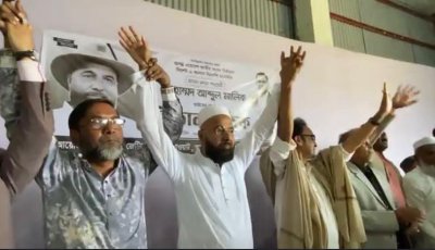 ধানের শীষের প্রচারণায় মনোনয়ন প্রত্যাশী ও মনোনীত প্রার্থী ঐক্যবদ্ধ