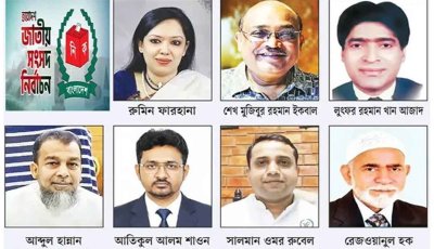 সংসদে যাচ্ছেন বিএনপির ৭ হেভিওয়েট 'বিদ্রোহী' প্রার্থী