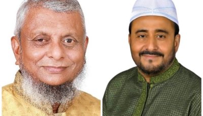 এক উপজেলা থেকেই দুই এমপি