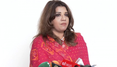 ভিসা জটিলতা নিরসনে সরকার কাজ করছে : পররাষ্ট্র প্রতিমন্ত্রী