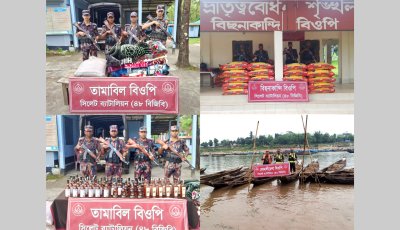 সিলেট সীমান্তে বিজিবির অভিযানে  ৪৯ লাখ টাকার চোরাচালান পণ্য জব্দ