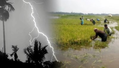 ধান কাটতে গিয়ে বালাগঞ্জে বজ্রপাতে দিনমজুরের করুণ মৃত্যু