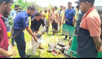 ভৈরবে চলন্ত সিএনজিতে আগুন, নেভানোর পর মিলল ১৯ কেজি গাঁজা