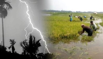 হবিগঞ্জে বজ্রপাতে প্রাণ গেল দুই কৃষকের, আহত আরও একজন