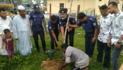 ভোলাগঞ্জ পুলিশ ফাঁড়িতে দেড় শতাধিক সাজনা গাছের চারা রোপণ