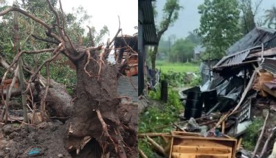লাখাইয়ে কালবৈশাখীর তাণ্ডব: অর্ধশতাধিক ঘরবাড়ি বিধ্বস্ত, বিদ্যুৎ ব্যবস্থা বিপর্যস্ত