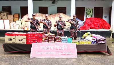 বিছনাকান্দি-প্রতাপপুর সীমান্তে বিজিবির অভিযান, বিপুল চোরাচালানি পণ্য উদ্ধার