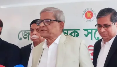 এক বছরের মধ্যে স্থানীয় সরকার নির্বাচন আয়োজনের পরিকল্পনা: মির্জা ফখরুল