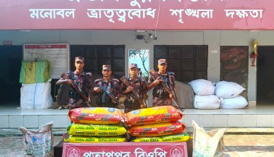 সিলেট সীমান্তে ৫৪ লাখ টাকার চোরাচালানী মালামাল জব্দ করলো ৪৮ বিজিবি
