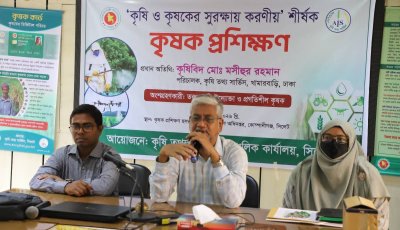 কোম্পানীগঞ্জে কৃষকদের আধুনিক প্রশিক্ষণ, গুরুত্ব পেল জৈব কৃষি ও ডিজিটাল কৃষক কার্ড