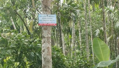 পথে পথে সতর্কতামূলক সাইনবোর্ডে গড়ে উঠছে সামাজিক প্রতিরোধ