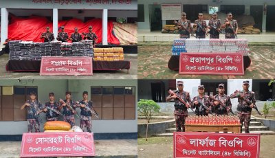 সিলেট সীমান্তে ৬৬ লাখ টাকার ভারতীয় চোরাচালানী মালামাল জব্দ করেছে ৪৮ বিজিবি