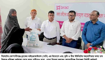 কোম্পানীগঞ্জে ব্র্যাকের উদ্যোগে  বিনামূল্যে মাছের পোনা বিতরণ