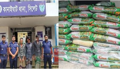 কানাইঘাটে চেকপোস্টে বিপুল ভারতীয় জিরা জব্দ, গ্রেপ্তার ৩