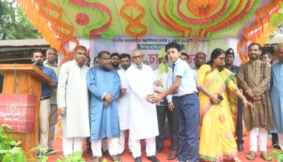 প্রাথমিক শিক্ষার উন্নয়নে নতুন ভবন ও শিক্ষা উপকরণের আশ্বাস শ্রমমন্ত্রীর, শিক্ষার্থীদের মাঝে গাছের চারা বিতরণ