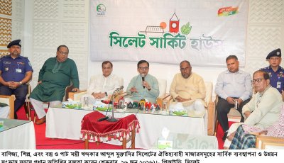 মাজারের দানের অর্থ ব্যবস্থাপনায় আসছে নতুন কাঠামো, এক মাসের মধ্যে সুপারিশ দেবে কমিটি
