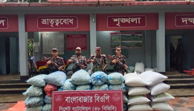 সিলেট সীমান্তে ৪৮ বিজিবির অভিযান, ৬৪ লাখ টাকার চোরাচালানি মালামাল জব্দ; আটক ২