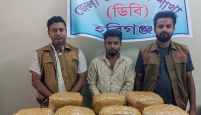 হবিগঞ্জে ডিবি পুলিশের অভিযানে ২৮ কেজি গাঁজা উদ্ধার, মাইক্রোবাসসহ আটক ১