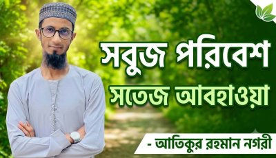 সবুজ পরিবেশ, সতেজ আবহাওয়া-আতিকুর রহমান নগরী
