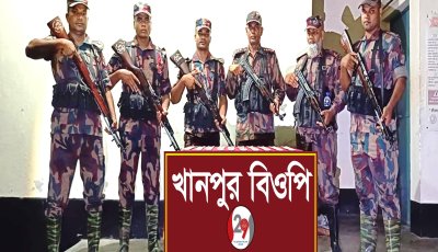 ফুলবাড়ীতে বিজিবির অভিযানে বিপুল মাদক ও সিরাপ আটক
