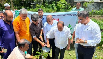 শ্রীমঙ্গলে বৃক্ষরোপণ কর্মসূচির উদ্বোধন