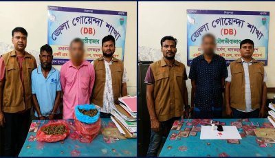 শ্রীমঙ্গলে ডিবির পৃথক অভিযানে মাদকসহ ৩ চিহ্নিত মাদক কারবারি গ্রেপ্তার